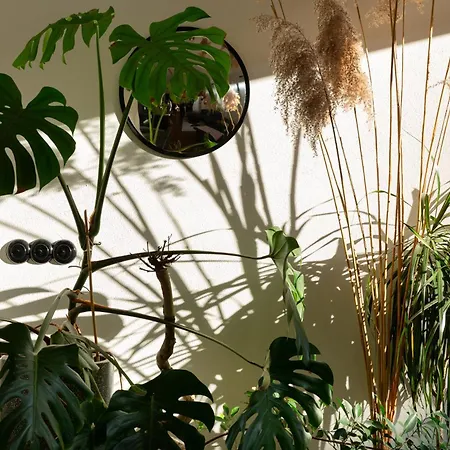 Lägenhet Evergreen - Design & Spacious Old Town With Ac, 1,5 Bath, Family-friendly Bratislava