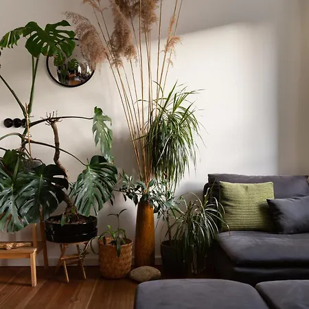 Διαμέρισμα Evergreen - Design & Spacious Old Town With Ac, 1,5 Bath, Family-friendly *