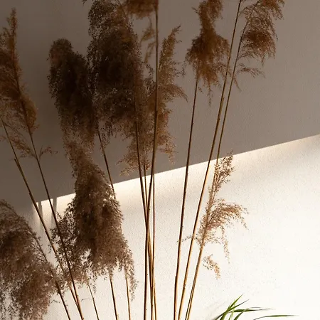 Evergreen - Design & Spacious Old Town With Ac, 1,5 Bath, Family-friendly Apartment Bratislava