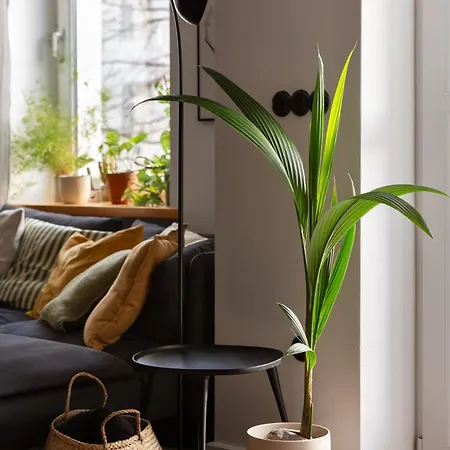 Evergreen - Design & Spacious Old Town With Ac, 1,5 Bath, Family-friendly Διαμέρισμα