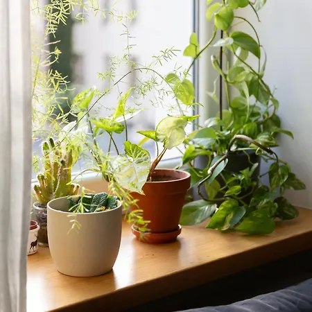 Evergreen - Design & Spacious Old Town With Ac, 1,5 Bath, Family-friendly *