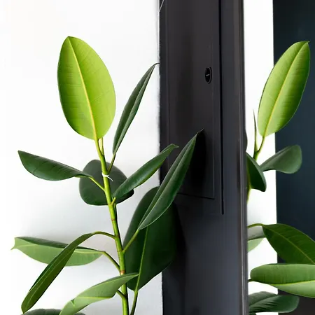 Διαμέρισμα Evergreen - Design & Spacious Old Town With Ac, 1,5 Bath, Family-friendly Μπρατισλάβα