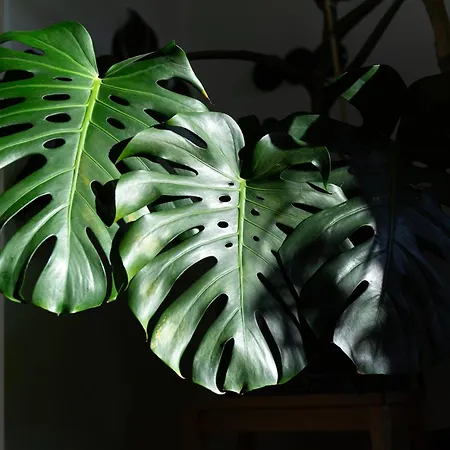 Evergreen - Design & Spacious Old Town With Ac, 1,5 Bath, Family-friendly Apartment *