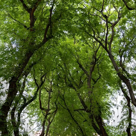 Evergreen - Design & Spacious Old Town With Ac, 1,5 Bath, Family-friendly Apartment