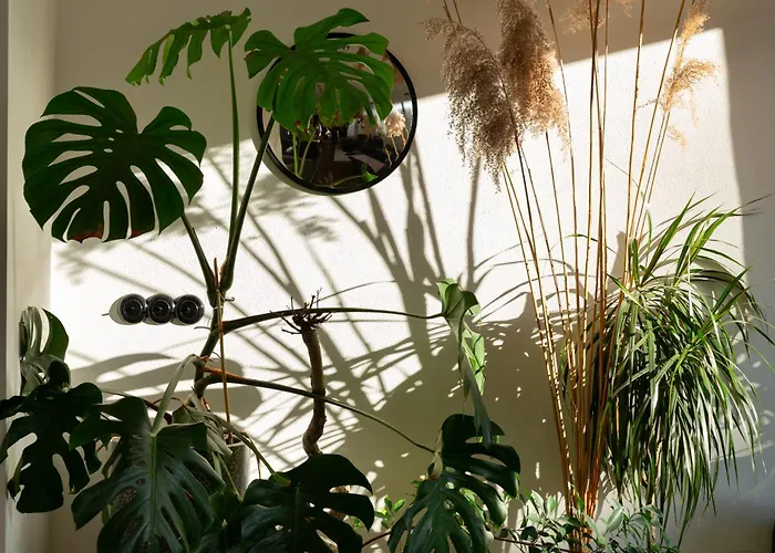 Apartman Evergreen - Design & Spacious Old Town With Ac, 1,5 Bath, Family-friendly Pozsony