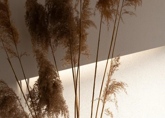 Evergreen - Design & Spacious Old Town With Ac, 1,5 Bath, Family-friendly 아파트 브라티슬라바