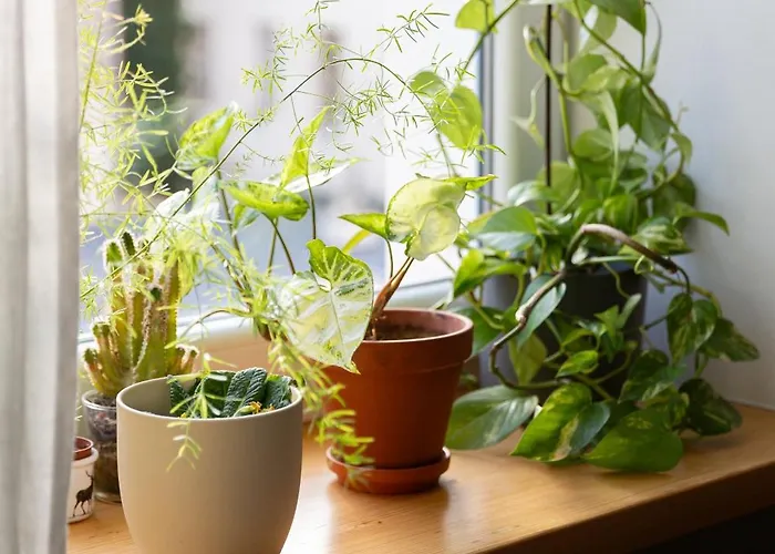 Evergreen - Design & Spacious Old Town With Ac, 1,5 Bath, Family-friendly *