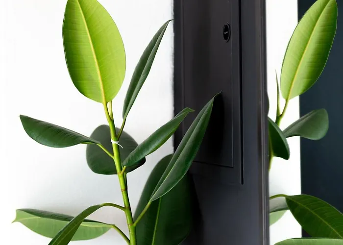 아파트 Evergreen - Design & Spacious Old Town With Ac, 1,5 Bath, Family-friendly 브라티슬라바