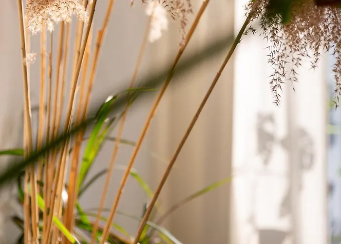 Evergreen - Design & Spacious Old Town With Ac, 1,5 Bath, Family-friendly *