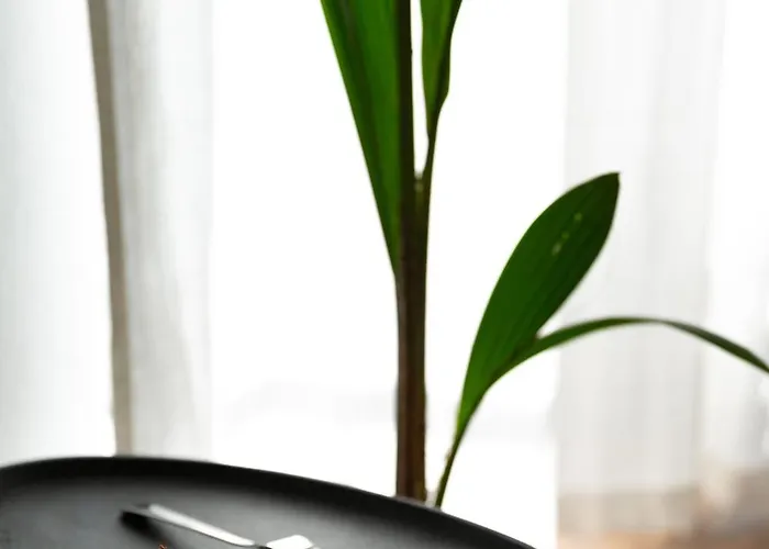 Evergreen - Design & Spacious Old Town With Ac, 1,5 Bath, Family-friendly Appartement *