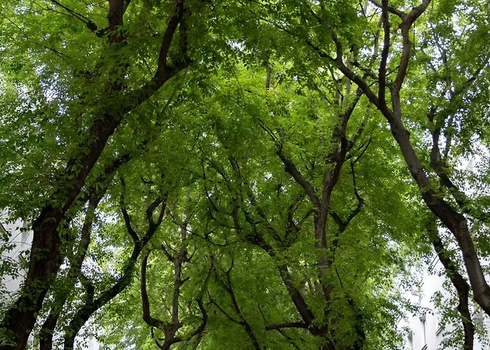 Evergreen - Design & Spacious Old Town With Ac, 1,5 Bath, Family-friendly Appartement