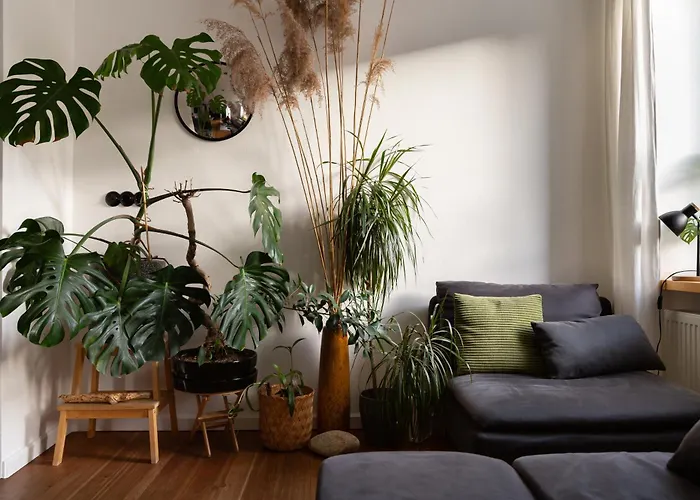 Apartmán Evergreen - Design & Spacious Old Town With Ac, 1,5 Bath, Family-friendly *