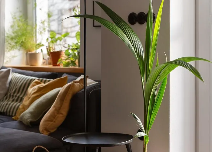 Evergreen - Design & Spacious Old Town With Ac, 1,5 Bath, Family-friendly Apartmán