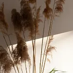 Evergreen - Design & Spacious Old Town With Ac, 1,5 Bath, Family-friendly アパート ブラチスラヴァ