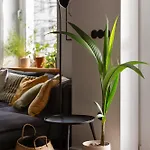 Evergreen - Design & Spacious Old Town With Ac, 1,5 Bath, Family-friendly アパート